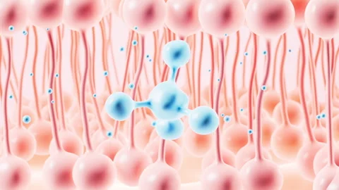 Human skin layer. Human skin cells.Used for cosmetics advertisements, skin .. Stock Footage 332138984