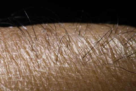 Human Skin Macro Photos