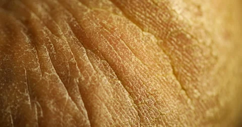 Human Skin Macro Shot Stock Footage 327344347