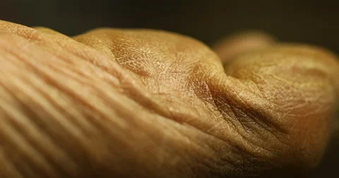 Human Skin Macro Shot Stock Footage 327346114