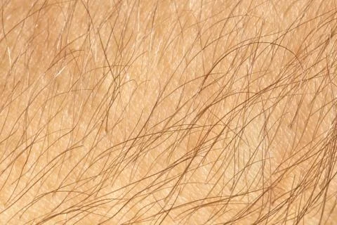 Human skin Foto stock
