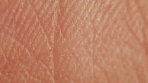Human skin sequence in macro view Stock Footage 195099313