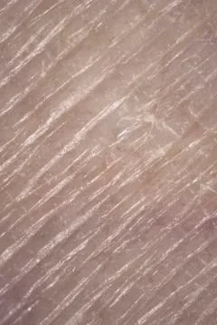 Human skin super macro texture Stock Photos
