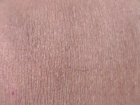 Human Skin Texture Macro Stock Photos