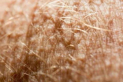 Human skin texture Stock Photos