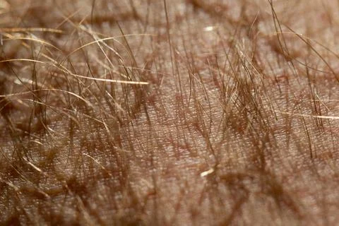 Human skin texture Stock Photos