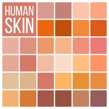 Human Skin Vector. Various Body Tones Chart. Realistic Texture Palette. Color Illustrazione stock