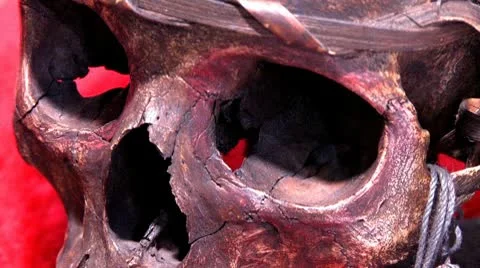 Human Skull 3 Stock-Footage 10574446