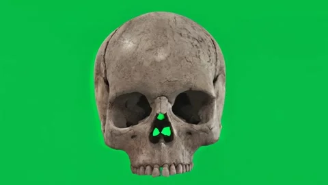 Human skull 360 degree view on green screen. Stock Footage 313927252