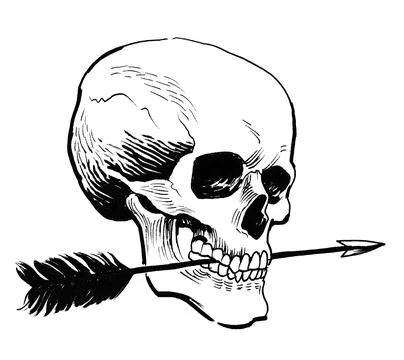 Human skull and arrow Illustrazione stock