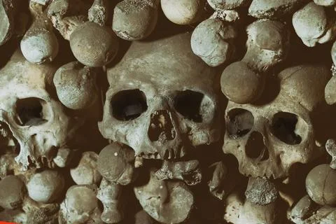Human skull and bones close up horrible and frightening pattern Stock Photos