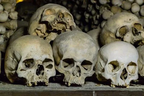 Human skull and bones Fotos Stock