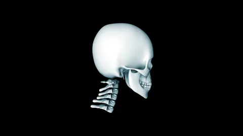 Human Skull and Cervical Spine Anatomy 3D Medical Render Isolated 動画素材 338390219
