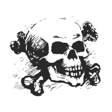 Human skull and cross bones. Stock Illustration