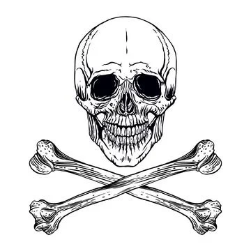 Human skull and crossbones Stock Illustration