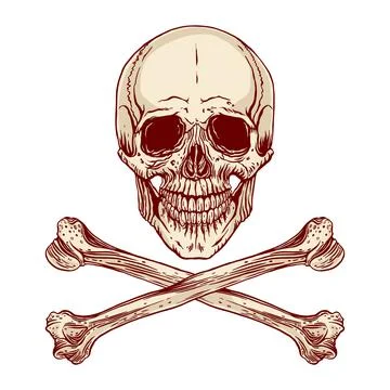 Human skull and crossbones Stock Illustration