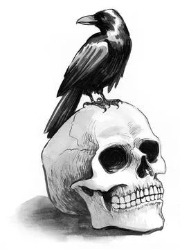 Human skull and the crow Stock Illustration