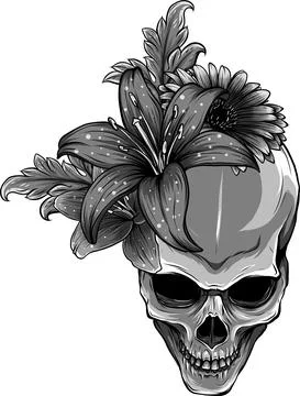 Human Skull and Flowers Vector Illustration design Stock Illustration