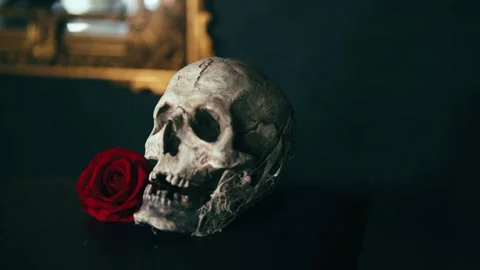 Human skull and red rose dark gothic horror symbolism concept Stock Footage 337139131