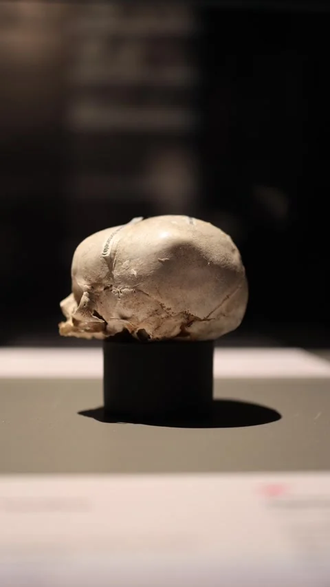 Human skull and time concept Stock Footage 331233064