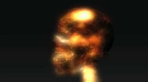 Human skull animation Stock Footage 27656164