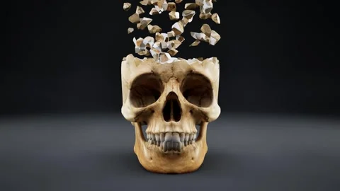 Human Skull Animation Stock Footage 325892248