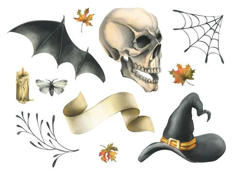 Human skull with bat wings, moth, paper scroll, witch hat, cobweb and autumn Illustrazione stock