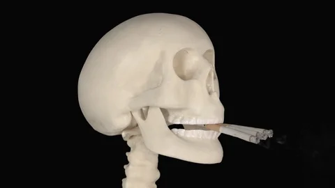 biting cigarette Human skull biting three burning cigarette