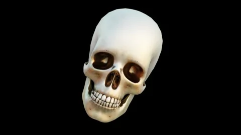 Human skull, black background, 3d render Stock Footage 146983522