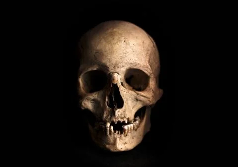 Human skull on a black background. Stock Photos