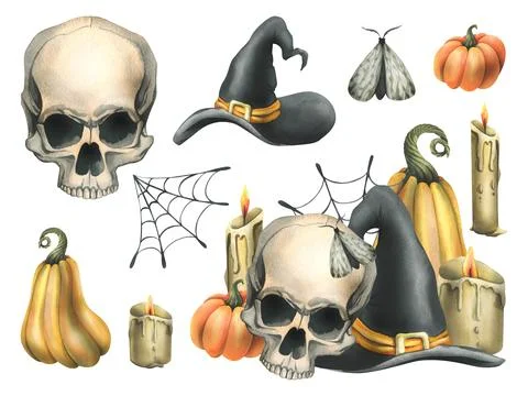 Human skull with black witch hat, orange pumpkins, cobwebs, candles. Hand drawn Stock Illustration