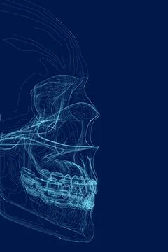 Human skull blue contour, side view - vector illustration Stock Illustration