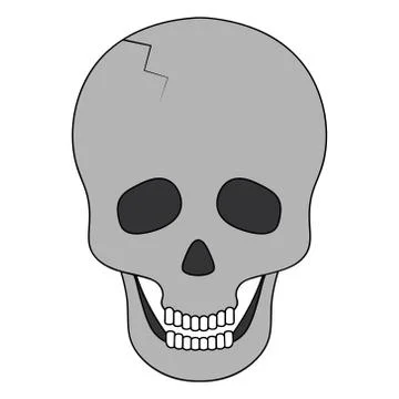 Human skull. Bone frame of the head. Vector illustration. Stock Illustration