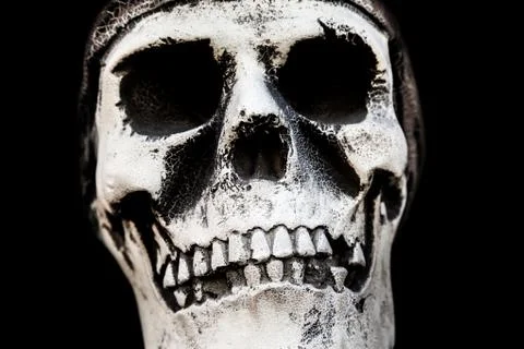 Human skull bone Stock Photos
