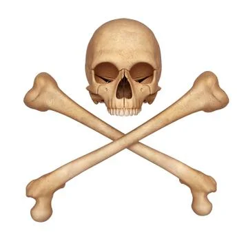 Human skull with bones Stock-Illustration