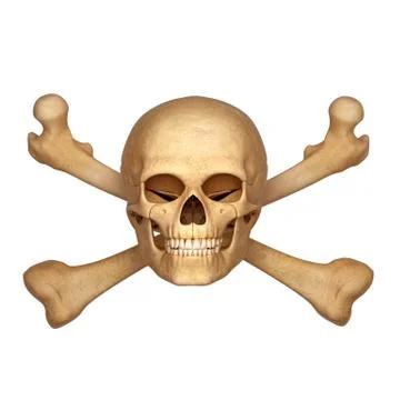 Human skull with bones Stock-Illustration