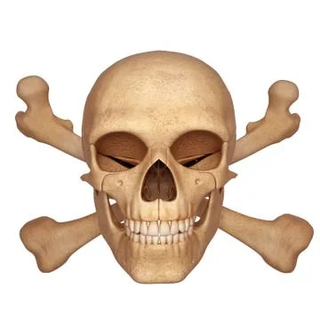 Human skull with bones Stock Illustration