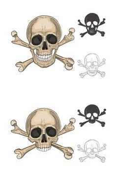 Human skull with bones isolated on white Stock Illustration