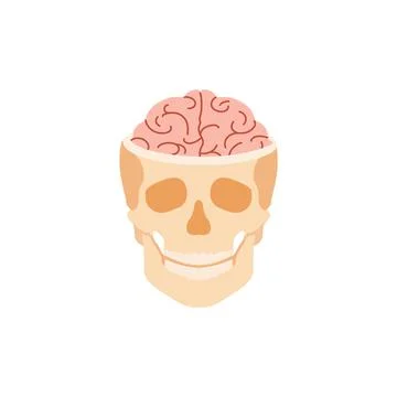 Human skull with brain. Anatomical structure of synapses and bone tissue Stock Illustration