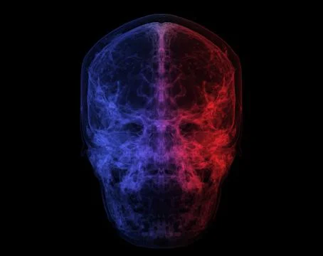 Human Skull, Brain by CT Scan. X-ray Visualization Inside Of Skull. 3D Illust Stock Illustration