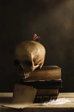 Human Skull with Butterfly and a empty Page with Feather Stock Photos