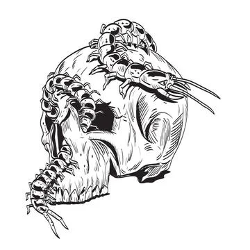 Human Skull with Centipede Going Inside Eye Socket Comics Style Drawing Co... Stock Photos