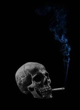 Human skull with cigarette Stock Photos
