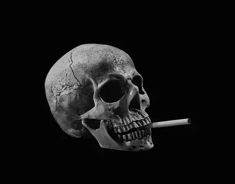 Human skull with cigarette Stock Photos