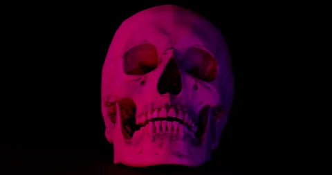 Human Skull with Color Lights. Stockbeeldmateriaal 331567806