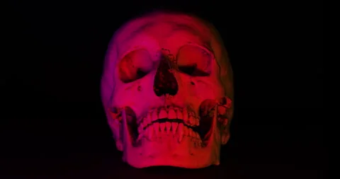 Human Skull with Color Lights. Stock Footage 331568155