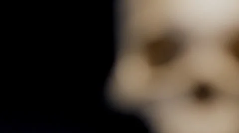 Human skull coming into focus CU Stock Footage 33746274