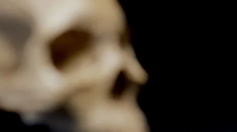 Human skull coming into focus, side view Stock-Footage 33746348