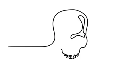 Human skull. Continuous line Ancient object Stock Footage 143461819