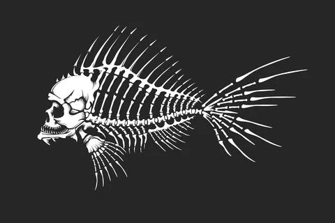 Human Skull Dead Fish Skeleton Stock Illustration